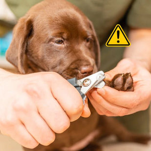 Riesgo de grietas y lesiones