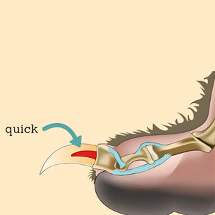 Peligro de cortar demasiado