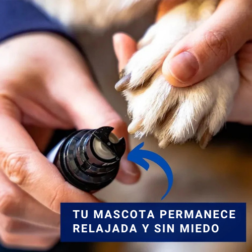 Kelbo Pro