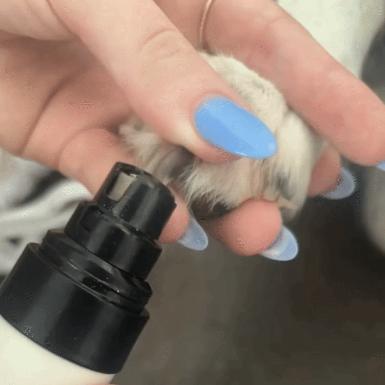 Batería Recargable de