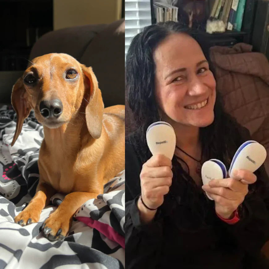 Más de 3.000 dueños de mascotas estuvieron en su misma situación 🐾